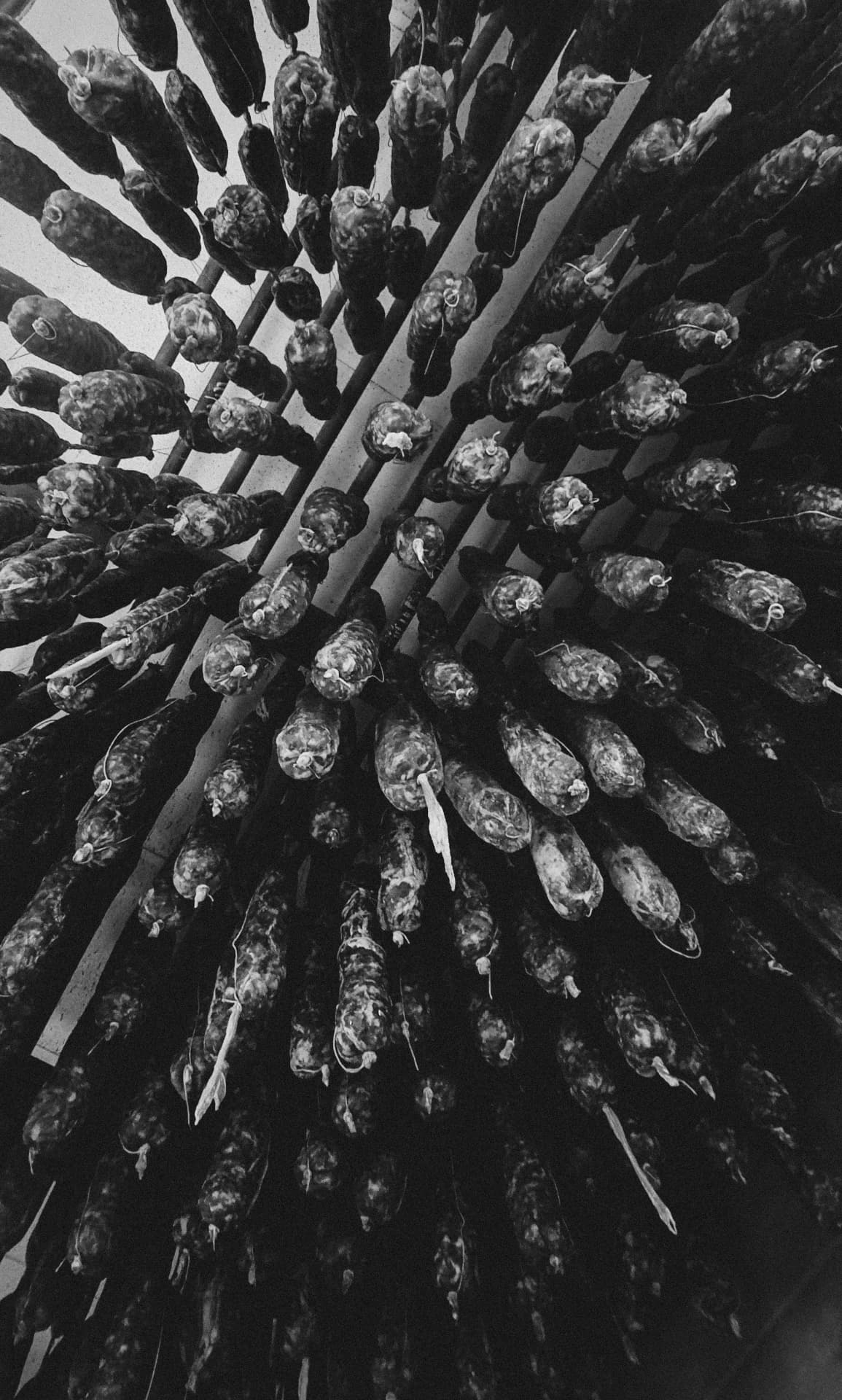Black and white frame of cured meats hanging from a ceiling